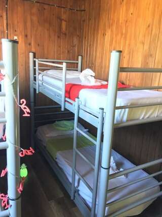 Хостелы Flamingo Costinesti Костинешти Кровать в небольшом 4-местном общем номере для мужчин и женщин - Общая ванная комната-33